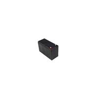 Standard Bateria Pbca Agm 5Y 12V/ 36W (10Min/  . . . 